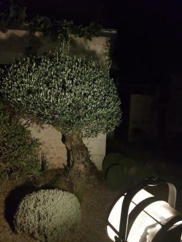 Bed & Breakfast Le Clos Falaw