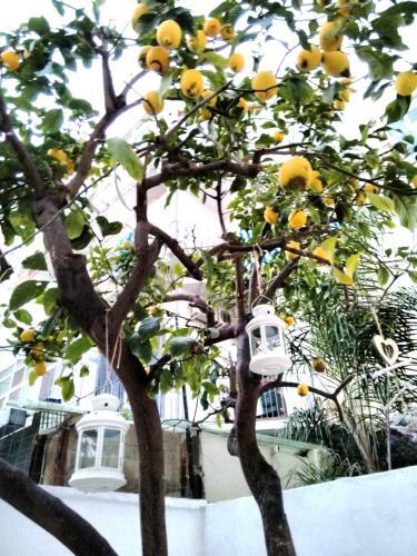 Apartamento Willkommen In Einem Private Garden