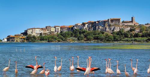 Bed & Breakfast Villa La Lagune