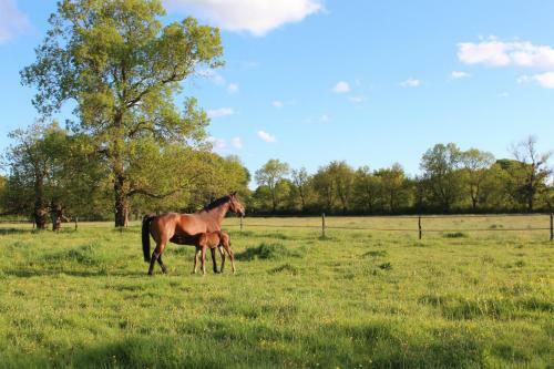 G�te Domaine St Georges