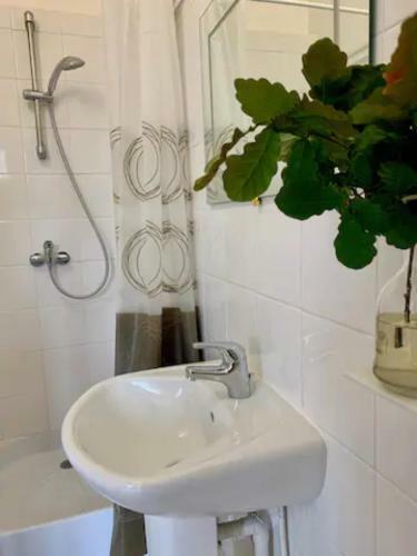 Apartamento Villa Des Millepertuis