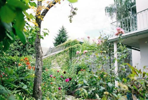 Apartamentos Id�al Pour Cure Maison Blanche Odin