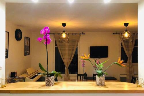 Apartamento Ca Dei Figli, Charmante Maison de Ville.