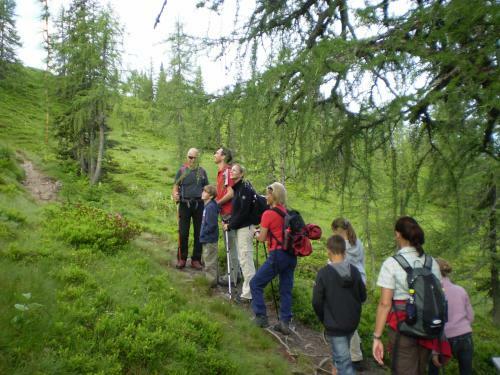 Ferienhaus F�rsterlisl