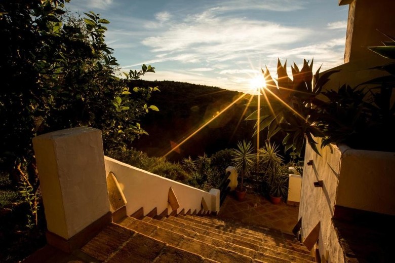 Hostal The Urban Villa