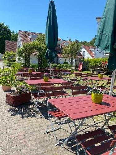 Schwalbennest