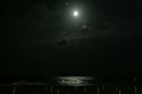 Apartamento Vista Faro, Zona Faunistica E Mare