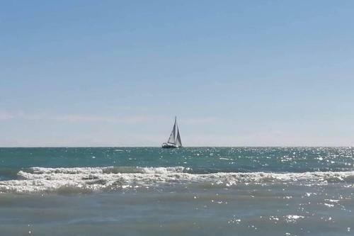 Apartamento Vista Faro, Zona Faunistica E Mare