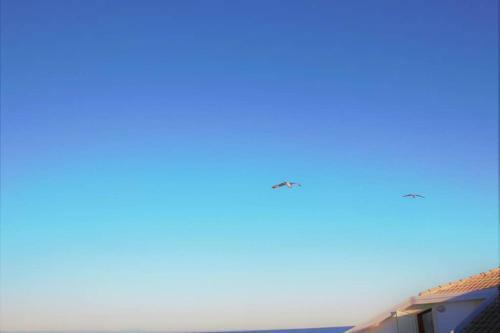 Apartamento Vista Faro, Zona Faunistica E Mare