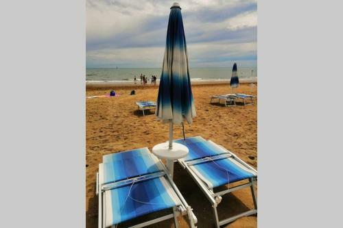 Apartamento Vista Faro, Zona Faunistica E Mare
