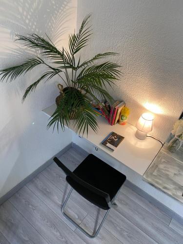 Apartamento Logement Centre Ville Avec Parking Privatif *