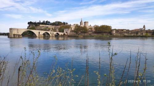 Apartamento Studio Avignon Intra Muros