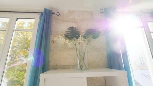 Apartamento Charmant Studio 25 M2 Centre Ville Avignon