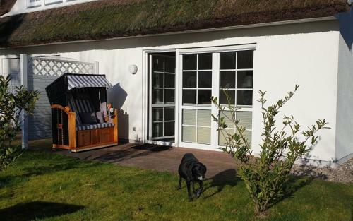 Apartamento Haus Seeteufel