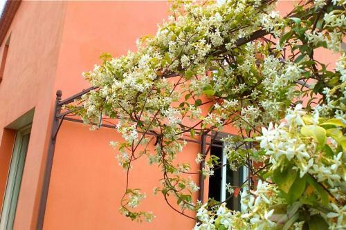 Apartamento T3 & Jardin 2 � 5 Pers � La Villa Terra