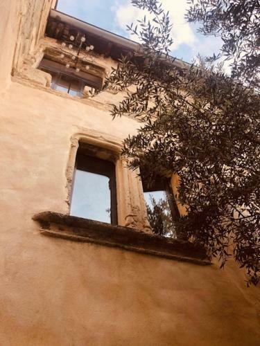 Gite La Paloma