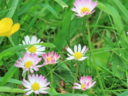 G�te L'escale Normande