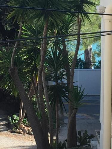 Apartamento Anse De Renecros