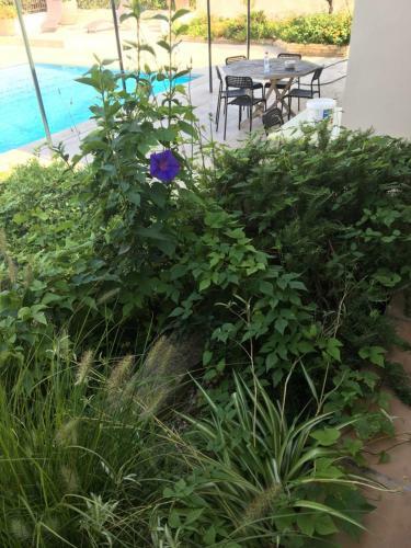 Studio Villa Espace Piscine Terrasse Bandol