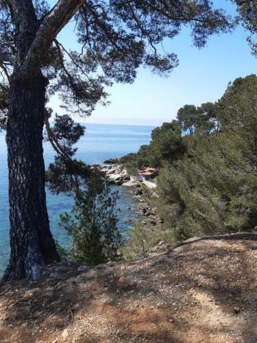 Apartamento Chez Pierrot