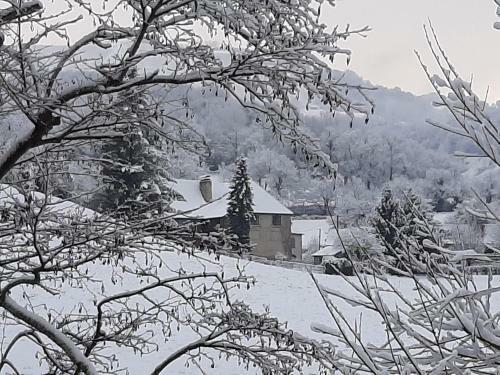 Hostal Abury