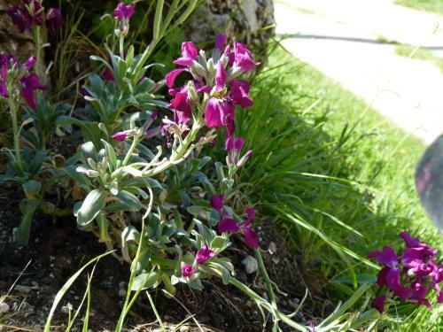 Bed & Breakfast Gite Campagnard