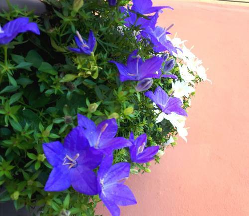Apartamento Charming Loft San Mamolo
