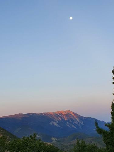 Bed & Breakfast Malia - Chambres D'h�tes
