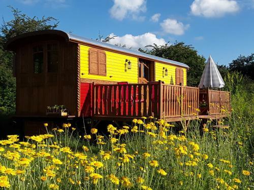 Bed & Breakfast La Roulotte De L'ami Nature