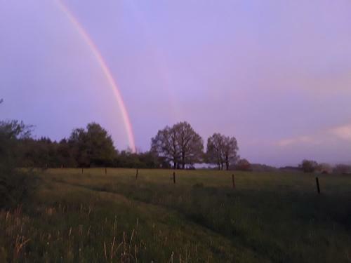 Bed & Breakfast La Roulotte De L'ami Nature