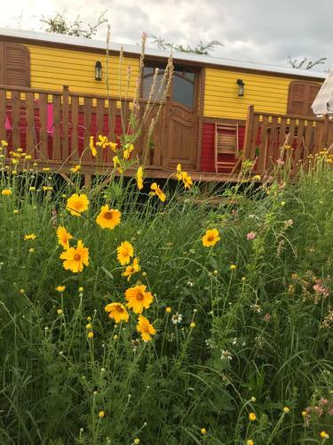 Bed & Breakfast La Roulotte De L'ami Nature