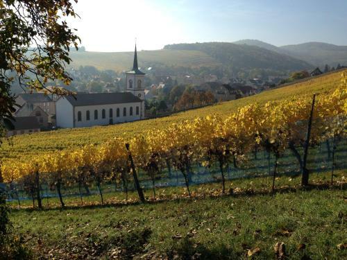 Bed & Breakfast Chambres D'h�tes Chez Martine