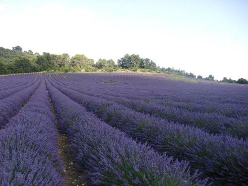 Maison Provence � Baudinard-sur-verdon