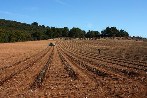 Maison Provence � Baudinard-sur-verdon