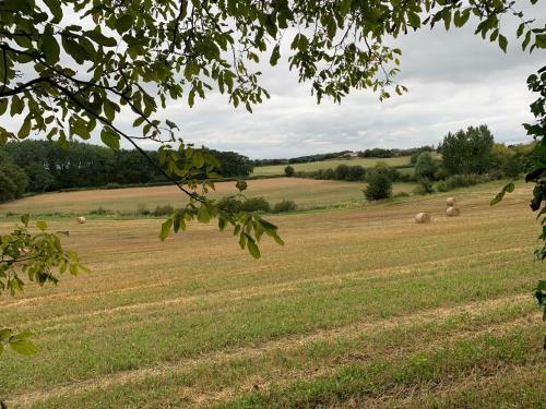 Hostal Le Logis De La Chouette