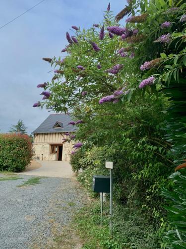 Hostal Le Logis De La Chouette