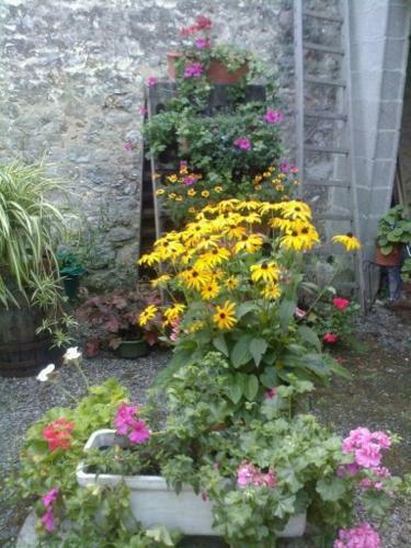 Bed & Breakfast Ambiances Chambres D 'h�tes