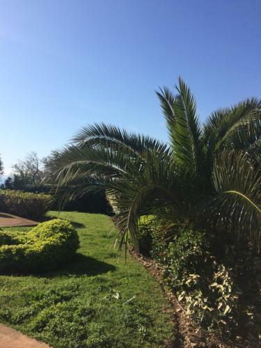Apartamento Jardins En Ville