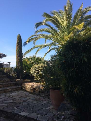 Apartamento Jardins En Ville