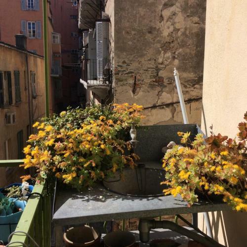 Apartamento Bastia Centre Ville