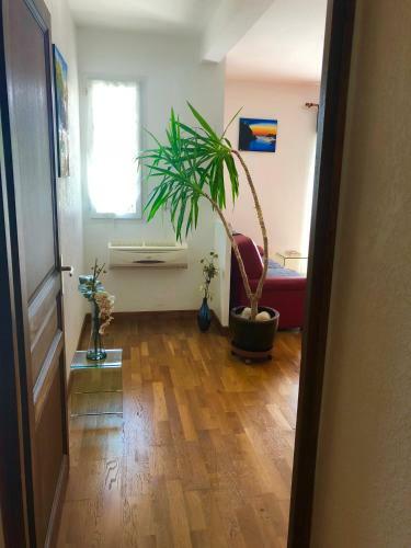 Apartamento Appartement Vue Mer