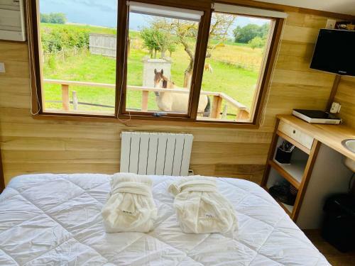 La Cabane Chambre Baln�o Vue Mer