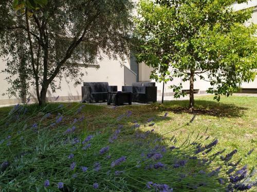 Hostal Room And Breakfast San Rafel