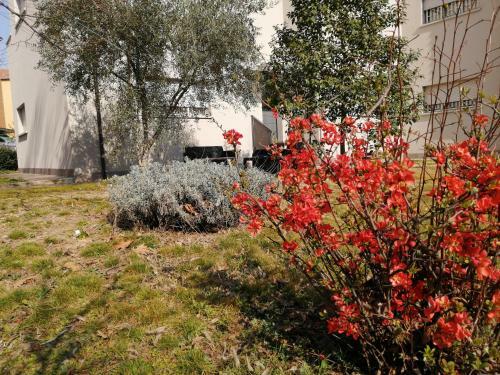 Hostal Room And Breakfast San Rafel