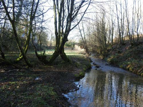 L'etang