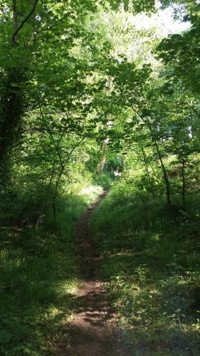 L'etang