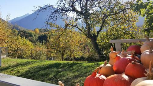 B&B Eth B�ry� Petit
