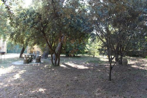 Apartamento Le Mas de Lucien Entre Arles, Nimes, Avignon.