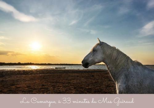 Mas Guiraud, Le Gaspardoux