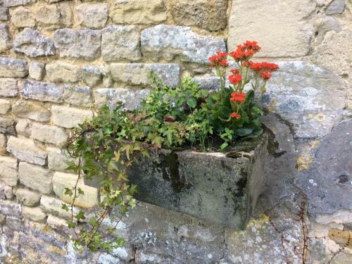 Le Manoir Des Doyens Loft Apartment - Sleeps 8